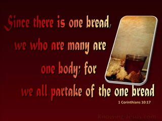 1 Corinthians 10:17 There Is One Bread And One Body (red)